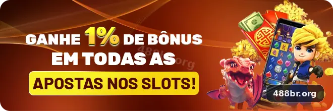 488br imagem 2